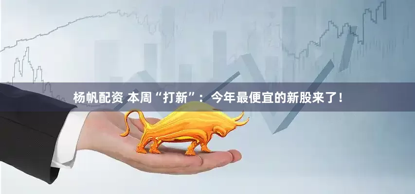 杨帆配资 本周“打新”：今年最便宜的新股来了！