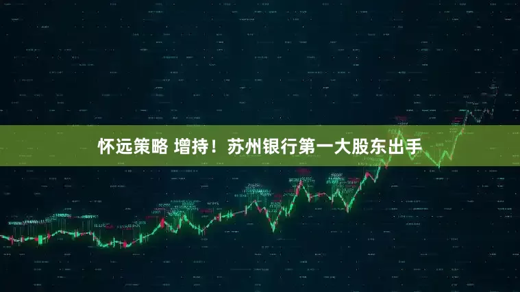 怀远策略 增持！苏州银行第一大股东出手