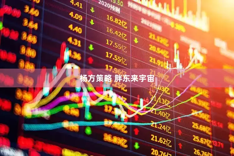 杨方策略 胖东来宇宙